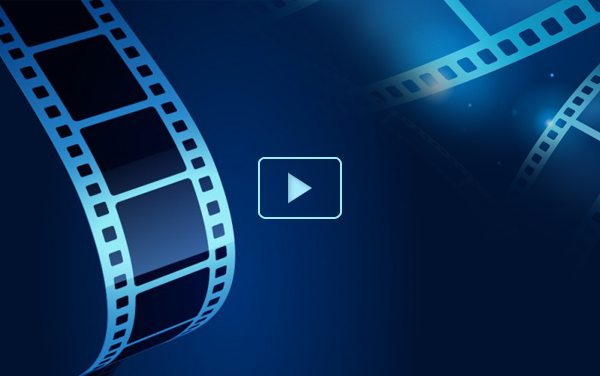 Tin học 7 - Bài thực hành tổng hợp